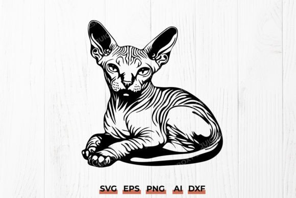 Detailed Sphynx Cat SVG Cat Lover Gift